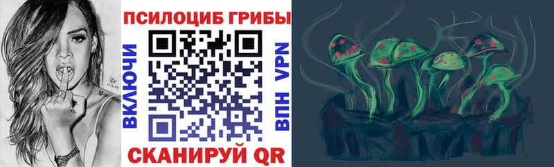 цена   Волчанск  shop клад  Галлюциногенные грибы Psilocybe 